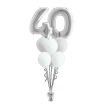 Kits de Globos plateado